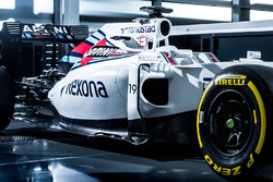 Felipe Massa, Williams FW38, detail