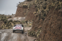 #307 Peugeot Sport: Cyril Despres, David Castera