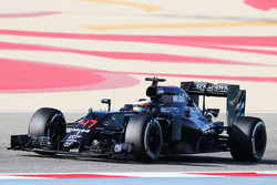 Stoffel Vandoorne, McLaren MP4-31