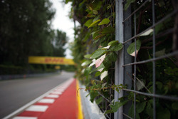 Detalle del circuito