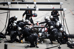 Jenson Button, McLaren Honda F1 Team MP4-31