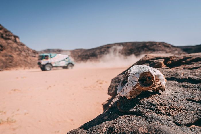 Aspectos de la etapa