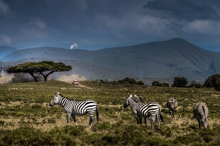 Martin Prokop, Viktor Chytka, M-Sport Ford WRT Ford Fiesta Rally2
