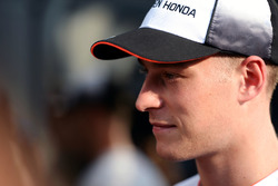 Стоффель Вандорн, McLaren