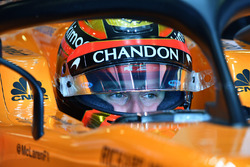 Stoffel Vandoorne, McLaren MCL33