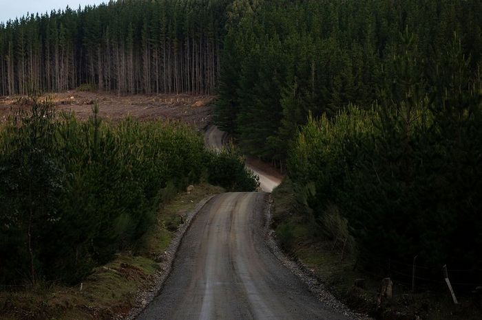 Vista general del camino