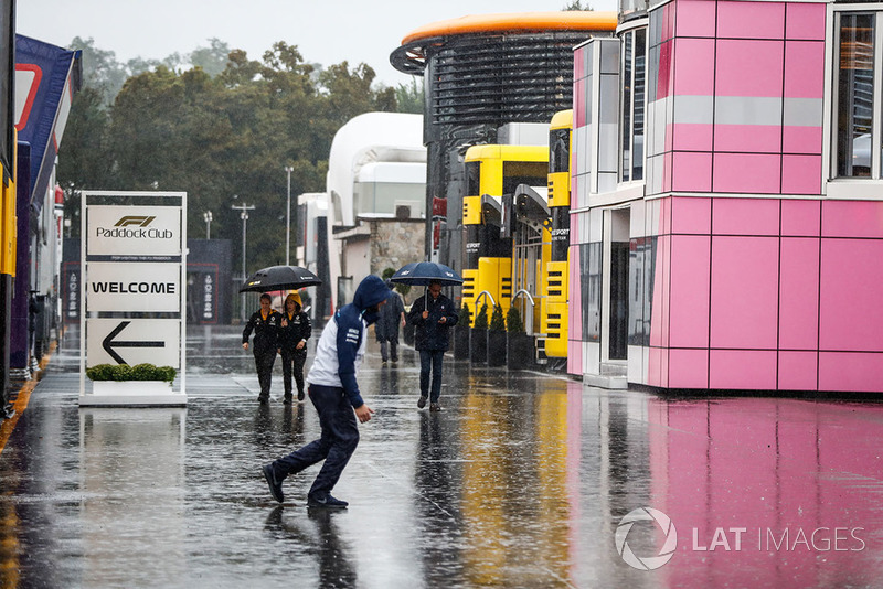Rain falls in the paddock