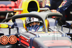 Daniel Ricciardo, Red Bull Racing, Halo