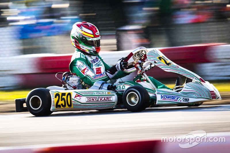 David Vidales, Tony Kart