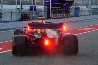 Max Verstappen Red Bull Racing RB15