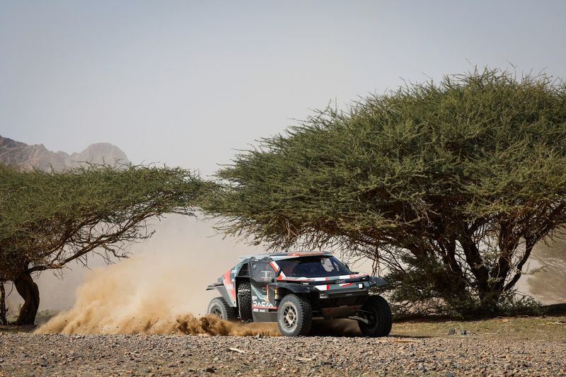 #219 I Dacia Sandriders Dacia: Sebastien Loeb, Edouard Boulanger