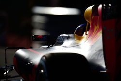 Даниэль Риккардо, Red Bull Racing RB12