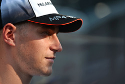 Стоффель Вандорн, McLaren