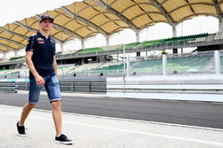 Макс Ферстаппен, Red Bull Racing