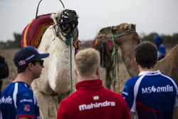 Antonio Felix da Costa, Amlin Andretti Formula E Team und Felix Rosenqvist, Mahindra Racing