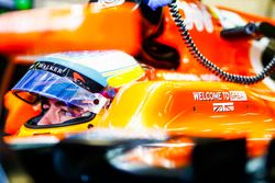 Fernando Alonso, McLaren