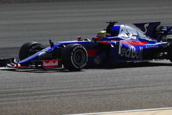 Шон Гелаель, Scuderia Toro Rosso STR12