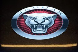 Jaguar Racing detail