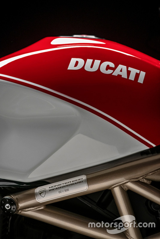 Monster 1200 25° Anniversario, dettaglio