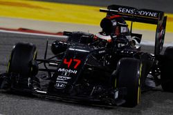 Stoffel Vandoorne, McLaren MP4-31