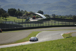 Alex Zanardi, Roal Motorsport