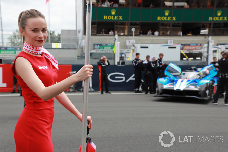 Grid girl