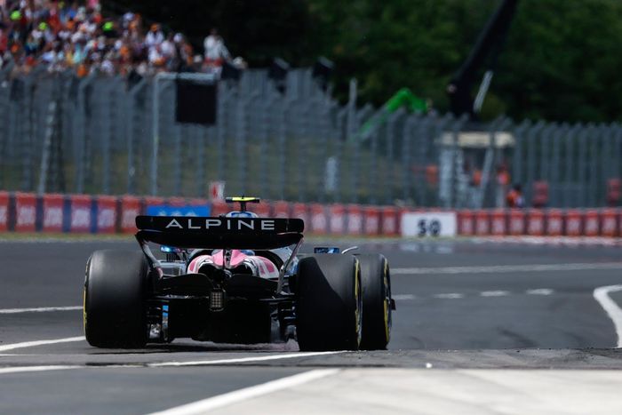 Franco Colapinto, Alpine