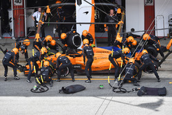 Пит-стоп: Стоффель Вандорн, McLaren MCL33
