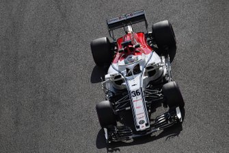 Antonio Giovinazzi, Sauber C37