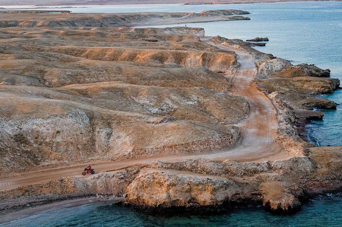 #3 Red Bull KTM Factory Racing: Toby Price