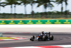 Fernando Alonso, McLaren MP4-31