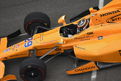Fernando Alonso, Andretti Autosport Honda