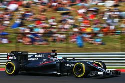 Fernando Alonso, McLaren MP4-31