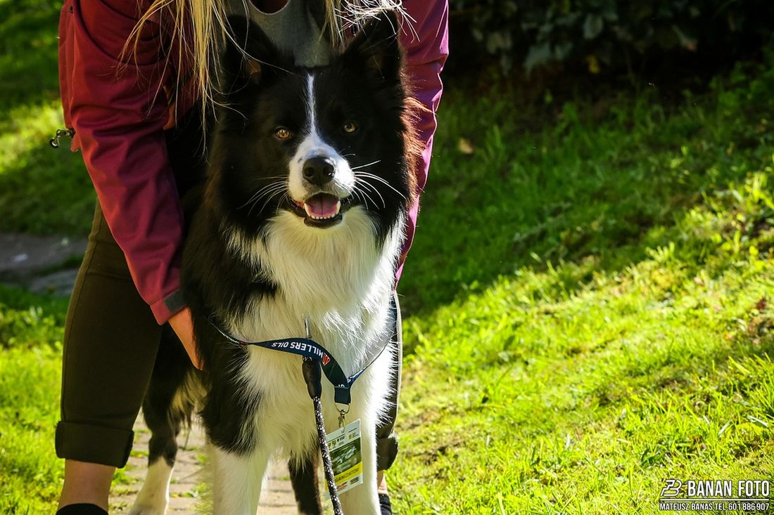 Rajd Świdnicki 2025 -Mateusz Banaś