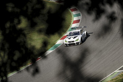 Alex Zanardi, Roal Motorsport