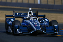 Max Chilton, Chip Ganassi Racing Honda