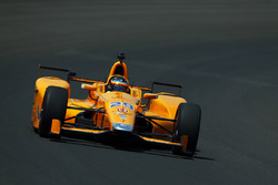 Fernando Alonso, Andretti Autosport Honda