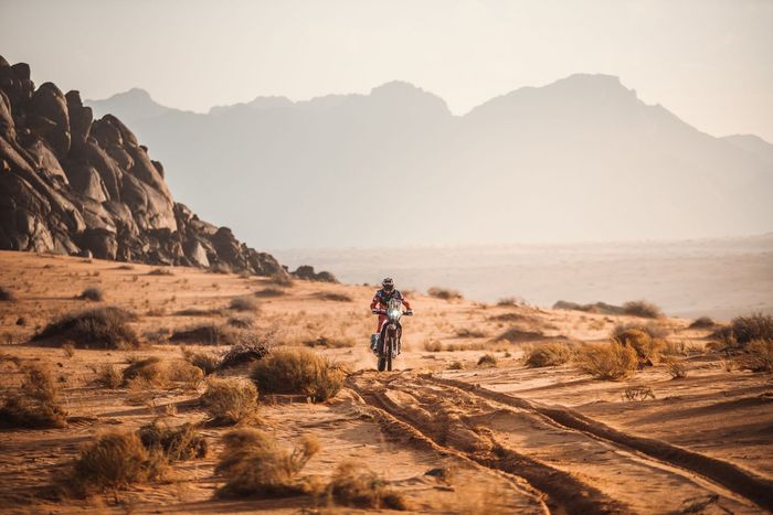 #88 Monster Energy Honda Team 2022: Joan Barreda Bort