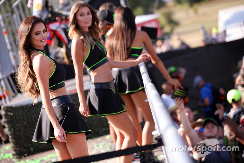 RIG RIOT, Monster Energy, MotoGP, Cseh GP, Brno
