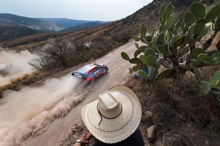 Ott Tänak, Martin Järveoja, Hyundai Motorsport Hyundai i20 Coupe WRC