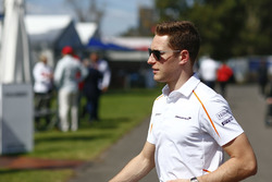 Стоффель Вандорн, McLaren