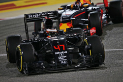 Стоффель Вандорн, McLaren MP4-31