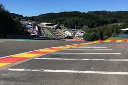 Eau Rouge detalle de la pista