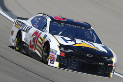 Ryan Newman, Richard Childress Racing, Chevrolet Camaro Caterpillar