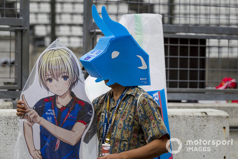 Scuderia Toro Rosso fan