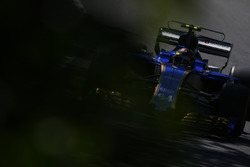 Pascal Wehrlein, Sauber C36