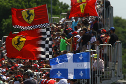 Fans y banderas