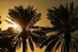 Bahrain International Circuit