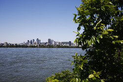 The Montreal skyline