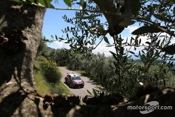 Alexey Lukyanuk, Dmitry Eremeev, Saintéloc Junior Team, Citroen C3 R5  